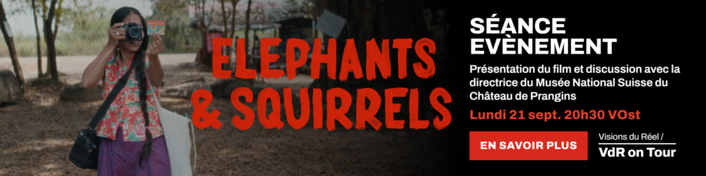 Elephants & Squirrels