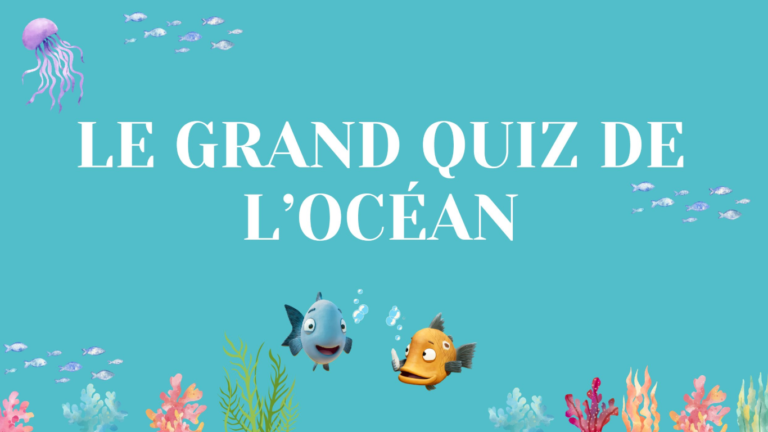 Timioche – Le grand quiz de l’océan