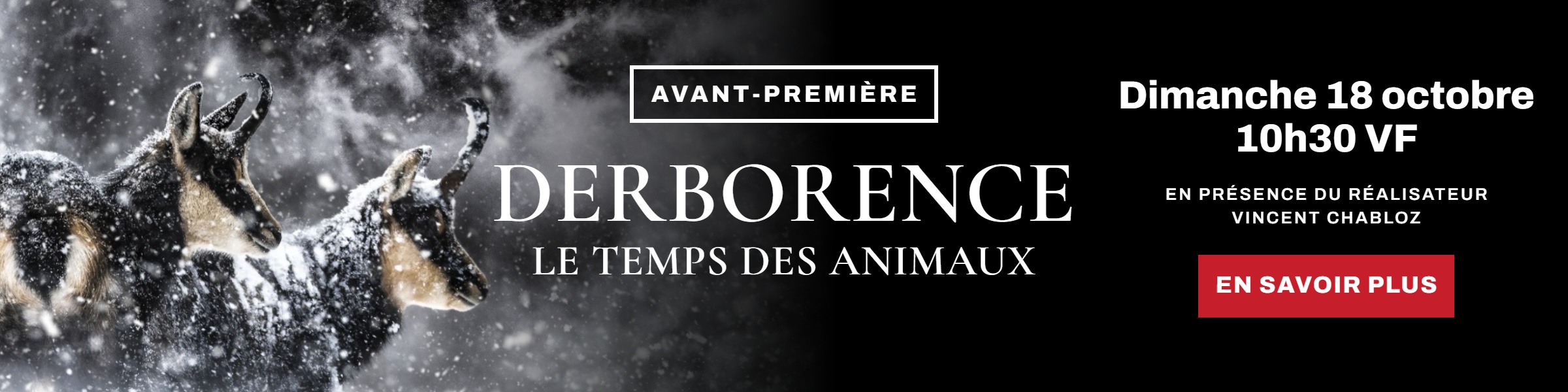 Derborence, le temps des animaux