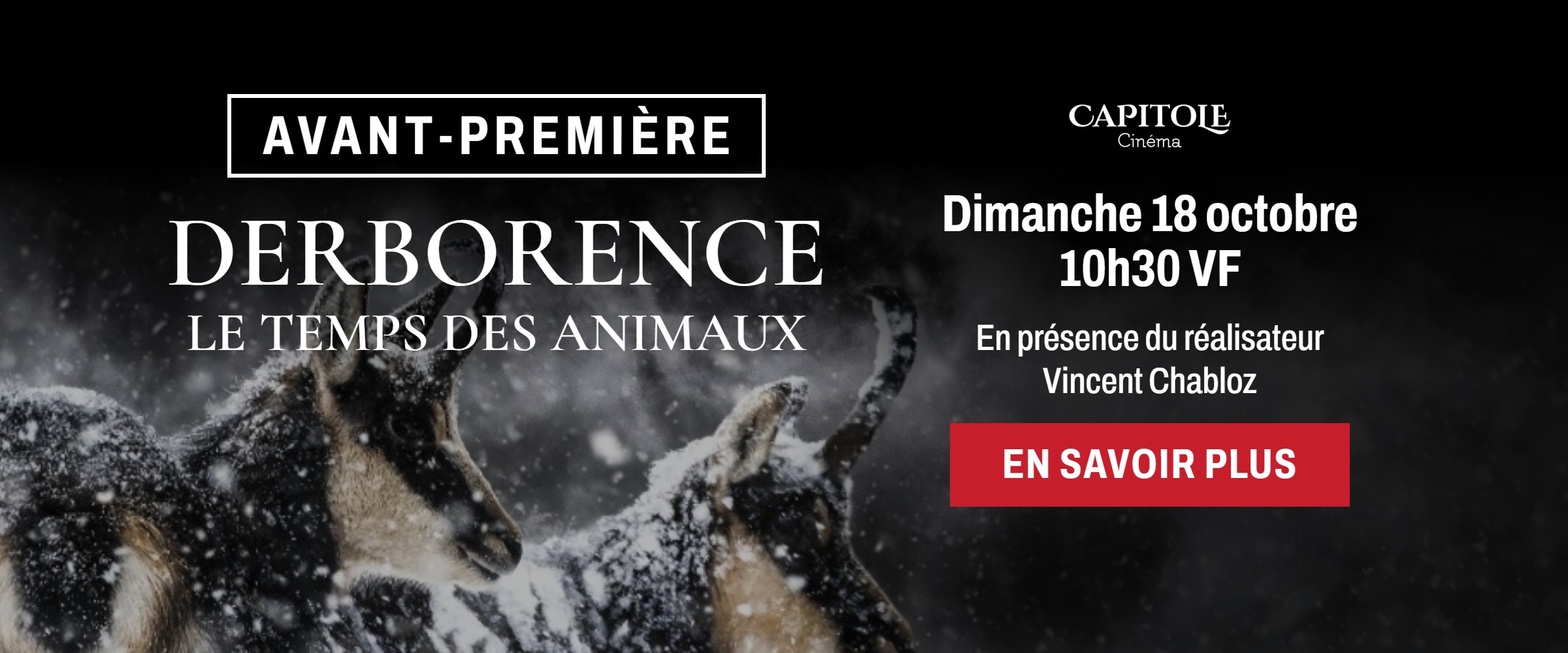 Derborence, le temps des animaux – avant-première dimanche 18 octobre